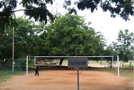 Sports at Jawaharlal Nehru Technological University Hyderabad in Hyderabad	