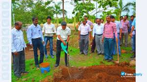 Plantation Maharashtra Animal & Fishery Sciences University in Nagpur