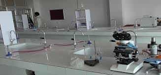Image for Hillwood Medical School (HMS), Bulandshahr in Bulandshahr