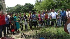 Image for Government Polytechnic Barauni, Begusarai in Begusarai	
