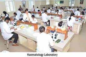 Image for Ultra College of Pharmacy (UCP), Madurai in Madurai	