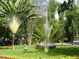Image for The Institute of Mathematical Sciences (IMSC), Chennai in Chennai