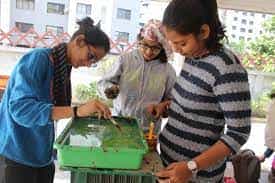 Lab Vidyamandir College of Architecture for Women (VMCAW), Surat in Surat