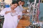 Lab for Government Polytechnic Nanakpur, (GPN, Panchkula) in Panchkula