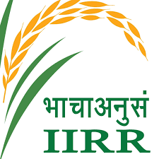 IIRR Logo