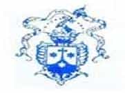 ST-TIE Logo