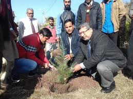 Plantation at Baba Ghulam Shah Badshah University in Kathua