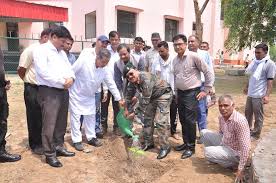 Plantation Chaudhary Devi Lal University in Sirsa