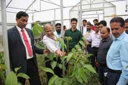 Hoteculture Central Institute Of Temperate Horticultural (CITH), Srinagar in Srinagar