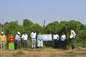 Image for Shaheed Gundadhur College of Agriculture and Research (SGCARS), Raipur  in Raipur