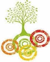 SIOT Logo
