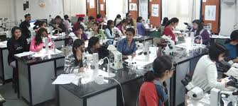 DFS Practical Lab