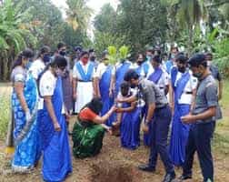 Word Environment Day Plan Ansaldo College of Education, Chennai in Chennai