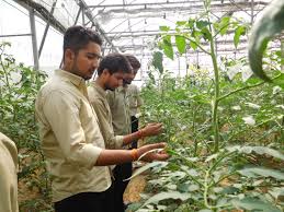 Agriculture Indian Agricultural Research Institute in New Delhi	