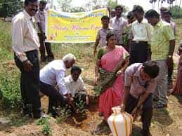 World Environment Day Photo Mariamman College Of Education, Tiruchirappalli in Tiruchirappalli