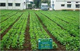 Image for Krishi Vigyan Kendra, Jalgaon in Jalgaon