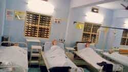SHNC beds