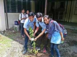 Plantation  Dharampeth Polytechnic, Nagpur in Nagpur