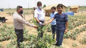 Plantation Banda University of Agriculture & Technology in Banda