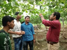 Image for Rai School of Agriculture (RSA), Ahmedabad  in Ahmedabad