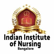 IIN - Logo 