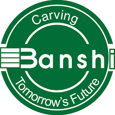 Banshi Group of Institutions logo