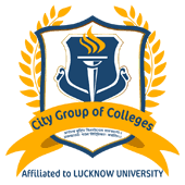 City Group Of Colleges Logo