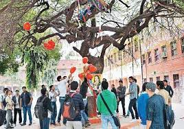 Studnets party Hindu College in New Delhi