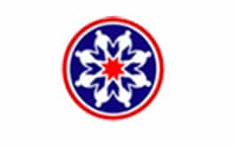 UIN - Logo 