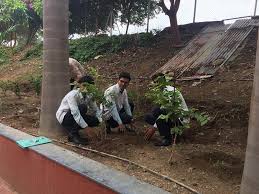 Image for Loknete Dr. J.D. College of Pharmacy, Nashik in Nashik