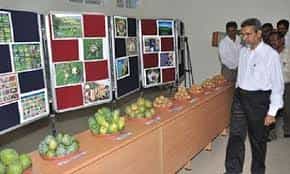 Camp Photo Horticultural College And Research Institute For Women, Tiruchirappalli in Thammampatti
