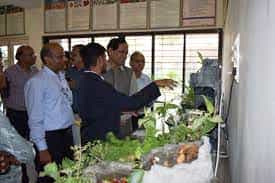 Image for Sheth D.M Polytechnic in Horticulture, AAU (SDMPHAAU), Vadodara  in Vadodara