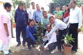 Plantation Raj Rishi Bhartrihari Matsya University in Alwar