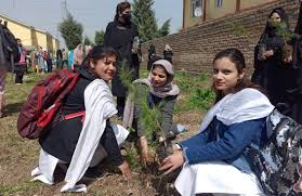 Plantation Government Women Polytechnic(GWP) ,Srinagar in Srinagar	