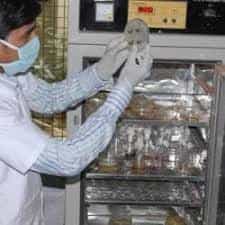 Image for Smt. Sarojini Ramulamma College of Pharmacy (SSRCP), Mahabubnagar in Mahabubnagar	